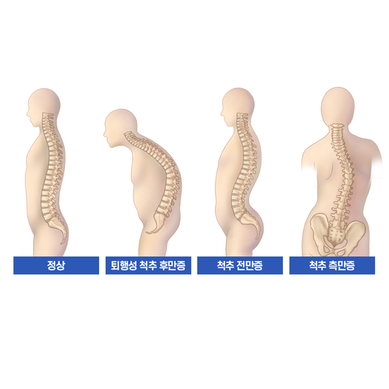 서현탑정형외과