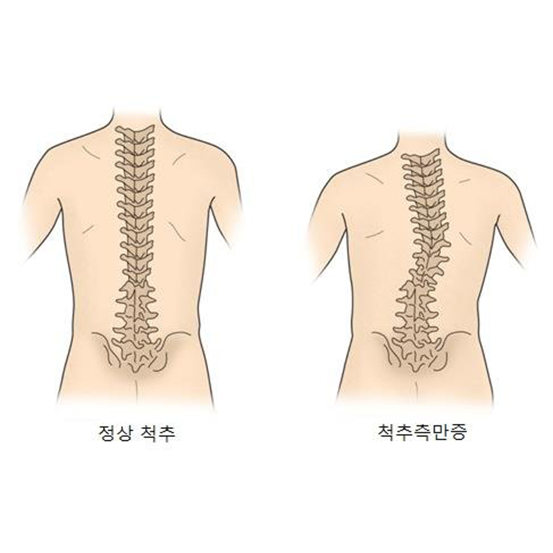 서현탑정형외과