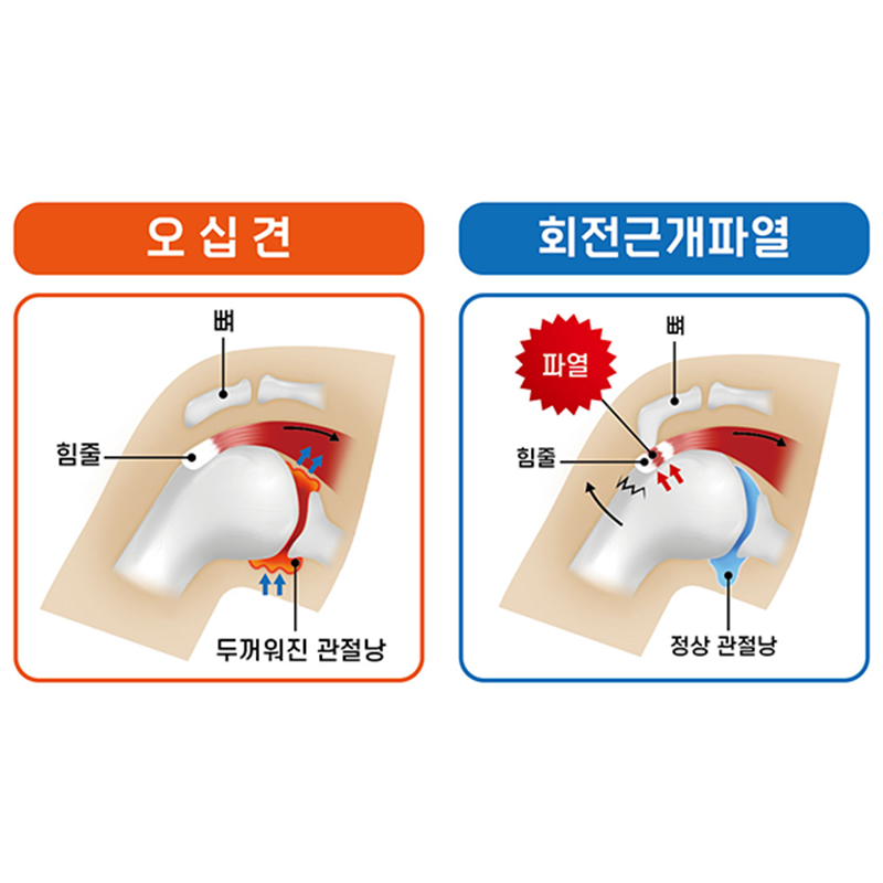 서현탑정형외과