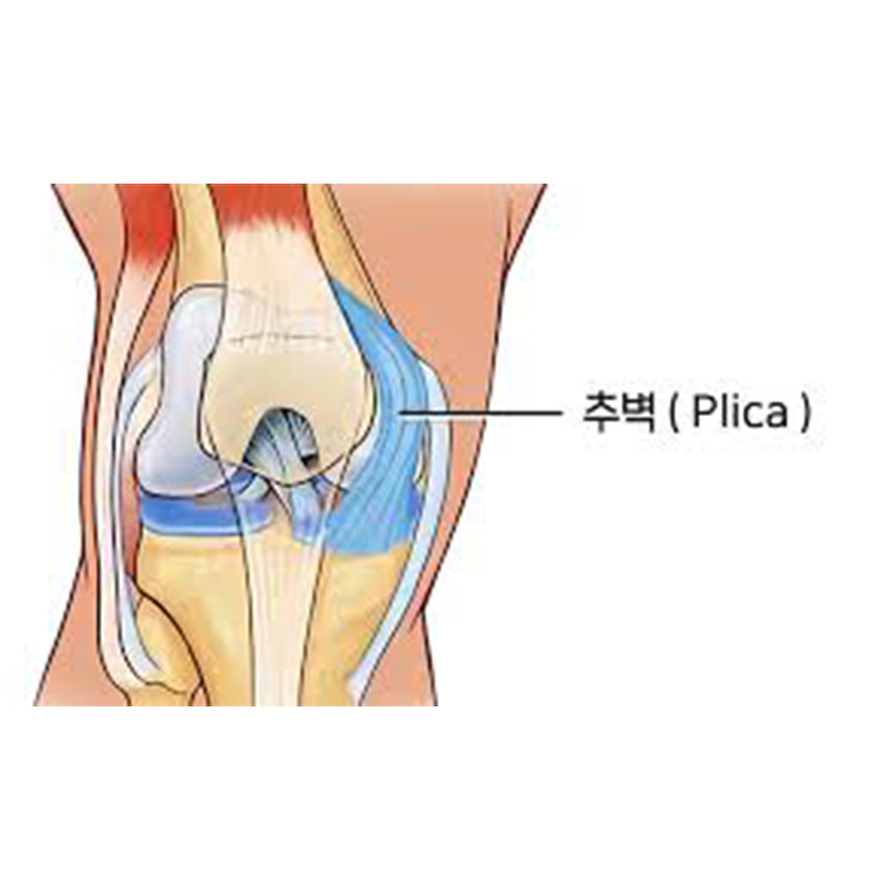 서현탑정형외과