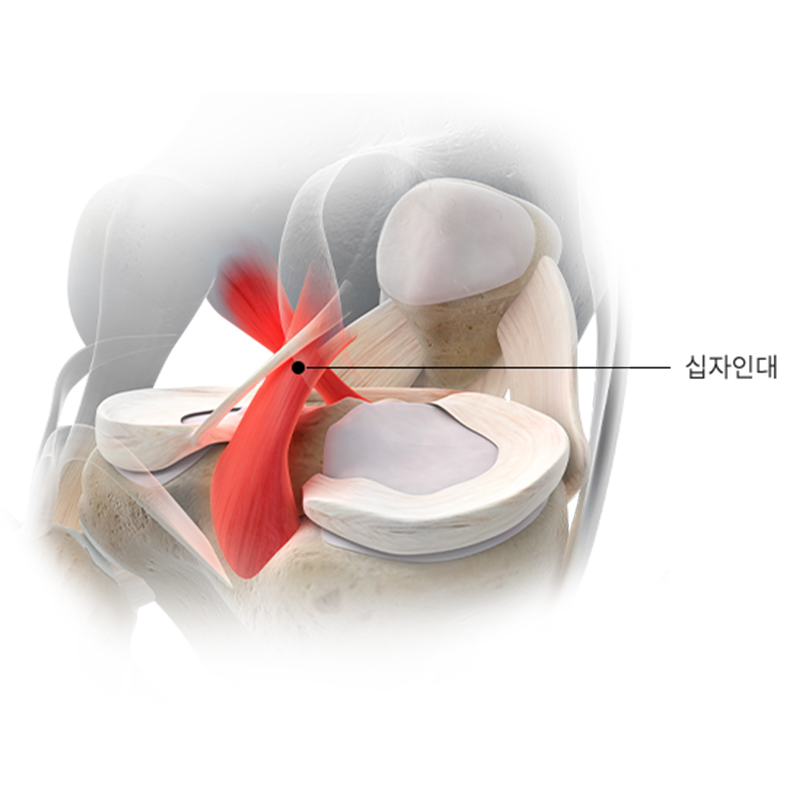 서현탑정형외과
